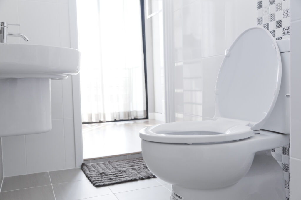 Questions to ask before hiring a plumber. White toilet in home.